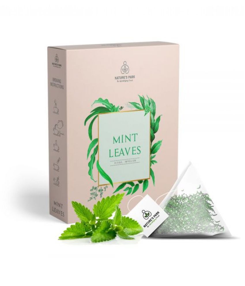     			Nature's Park Mint Tea Bags 40 gm