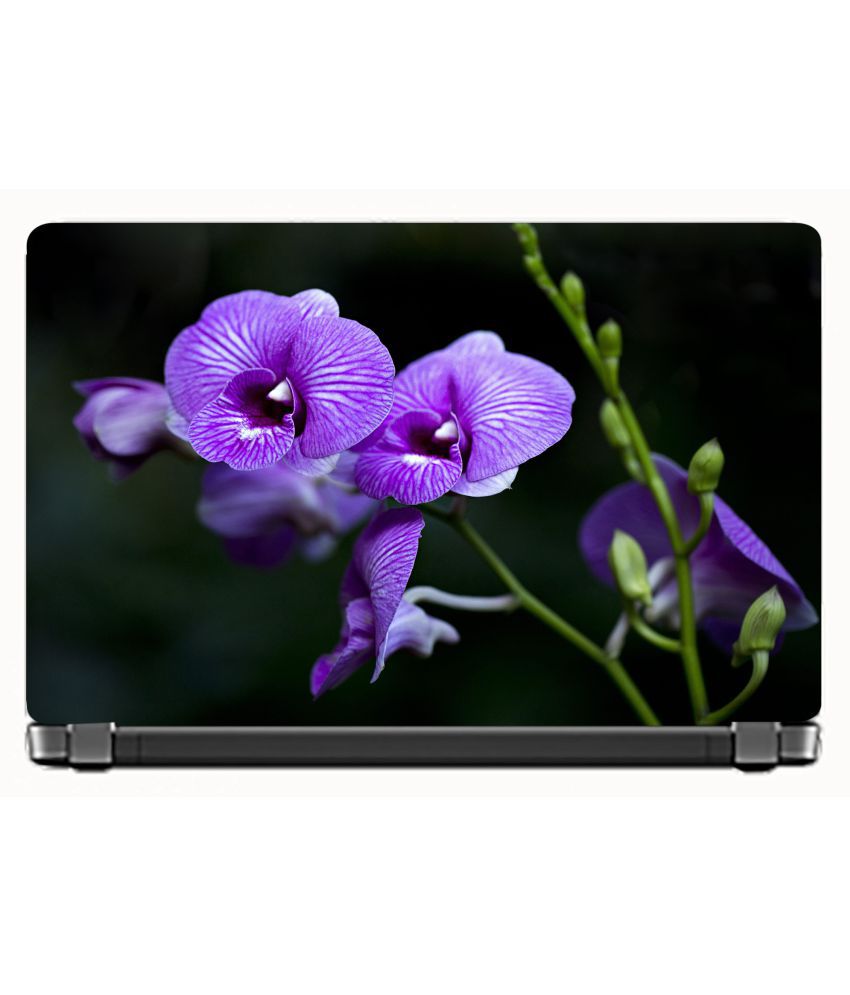     			Laptop Skin Beautiful-flower Premium Matte vinyl HD printed Easy to Install Laptop Skin/Sticker/Decal/Vinyl/Cover for all size laptops upto 15.6