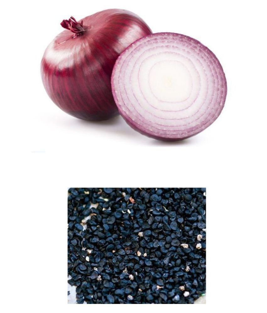     			OLD STORE RED ONION 200 SEEDS PACK WITH INSTRUCTION MANUAL