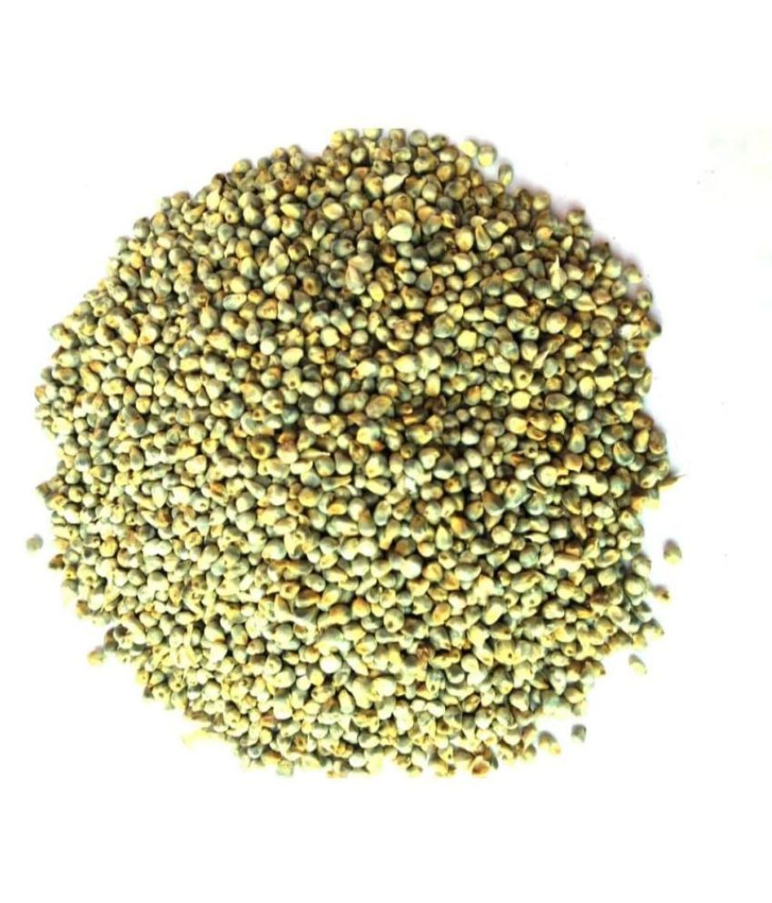 Bajra Seeds Pearl Millet Seeds for Bird Food (1.Kg) Buy Bajra Seeds