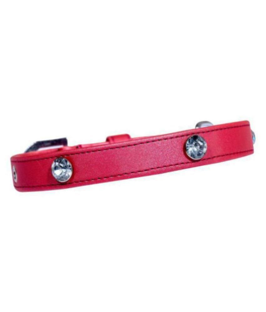     			Tame Love - Red Dog Collar (Small)