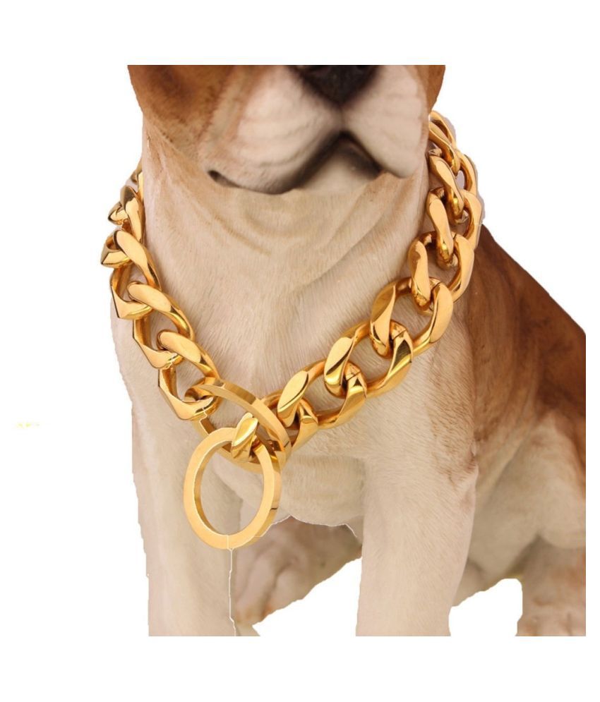     			BRASS CHAIN Heavy Duty Diamond Cut Gold Dog Choke Chain