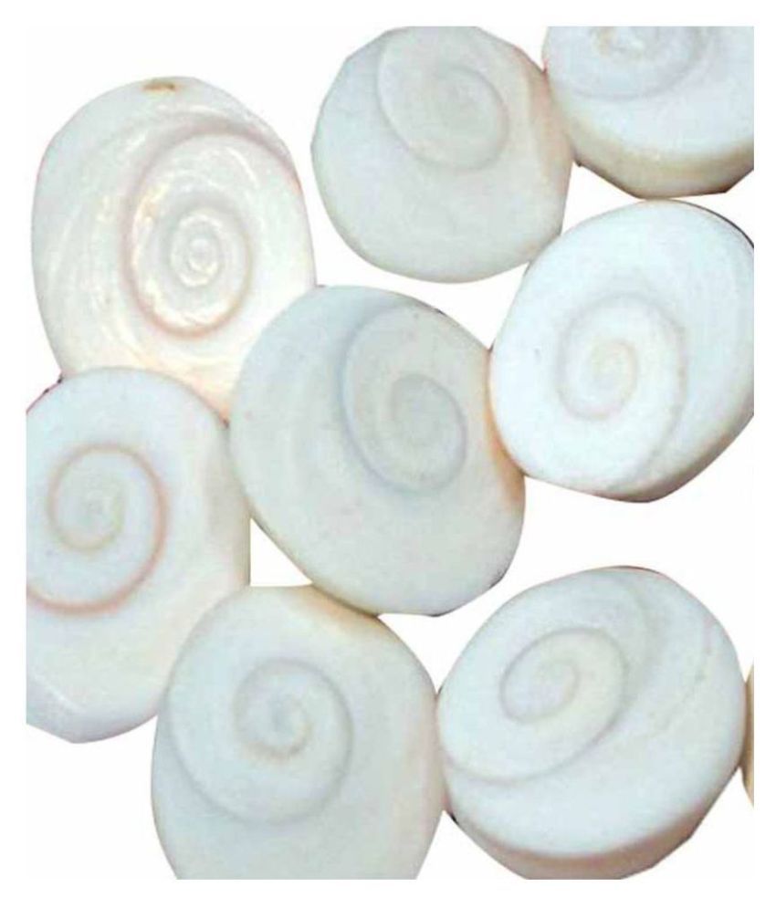     			jsk collection Natural Very Rare Gomati Chakra - 11 Pcs