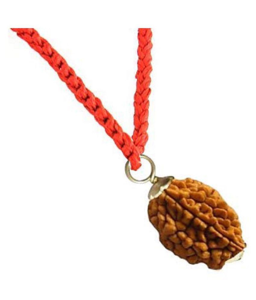     			rudradivine Rudraksha Pack of 1