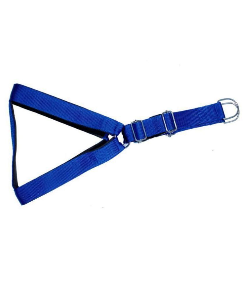     			Tame Love Padded Harness and Leash for Adult Dogs of All Breeds (Blue Color - 1.25 inches)