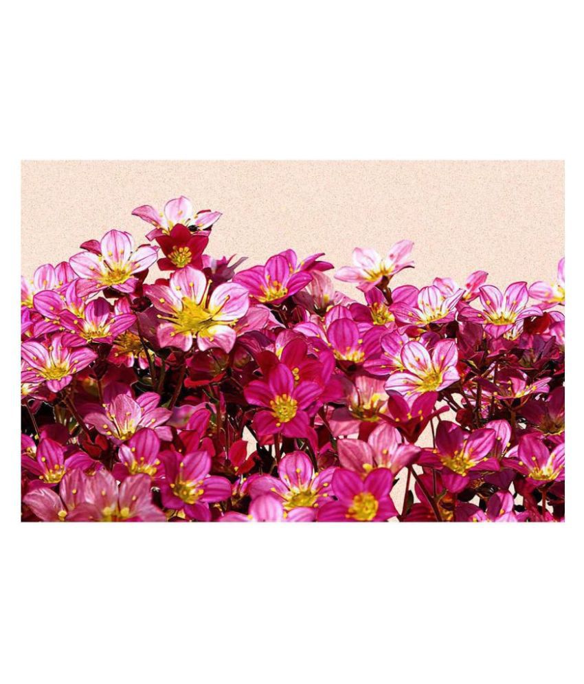     			WallDesign Carolina Rose Flowers - 14 cm W x 305 cm L Floral Sticker ( 305 x 14 cms )