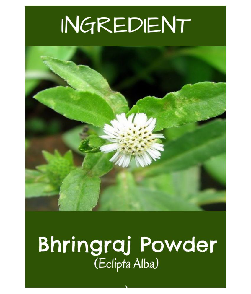 MR Ayurveda Bhringraj Powder & Brahmi Powder Hair Scalp Treatment 200 g  Pack of 2: Buy MR Ayurveda Bhringraj Powder & Brahmi Powder Hair Scalp  Treatment 200 g Pack of 2 at