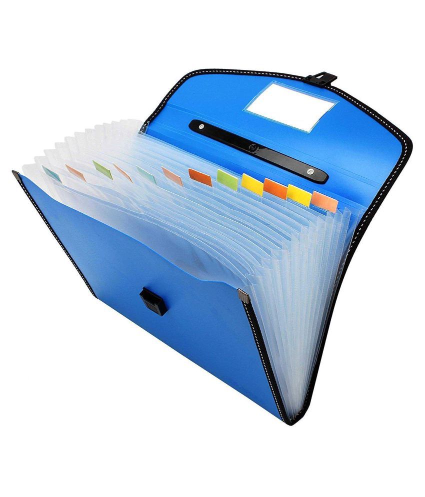     			Rangwell Plastic File Folder F/C Expanding Bag with Handle 9999 (13Folder multicolor)