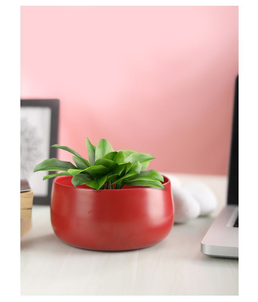 Homspurts Matte Red Metal Flower Pot for Centre Table | Living Room | Dining Table