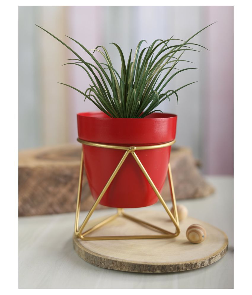 Homspurts Red Cylindrical Table Planters & Pot for Living Room with Iron Crossed Stands (21 cm, Small)