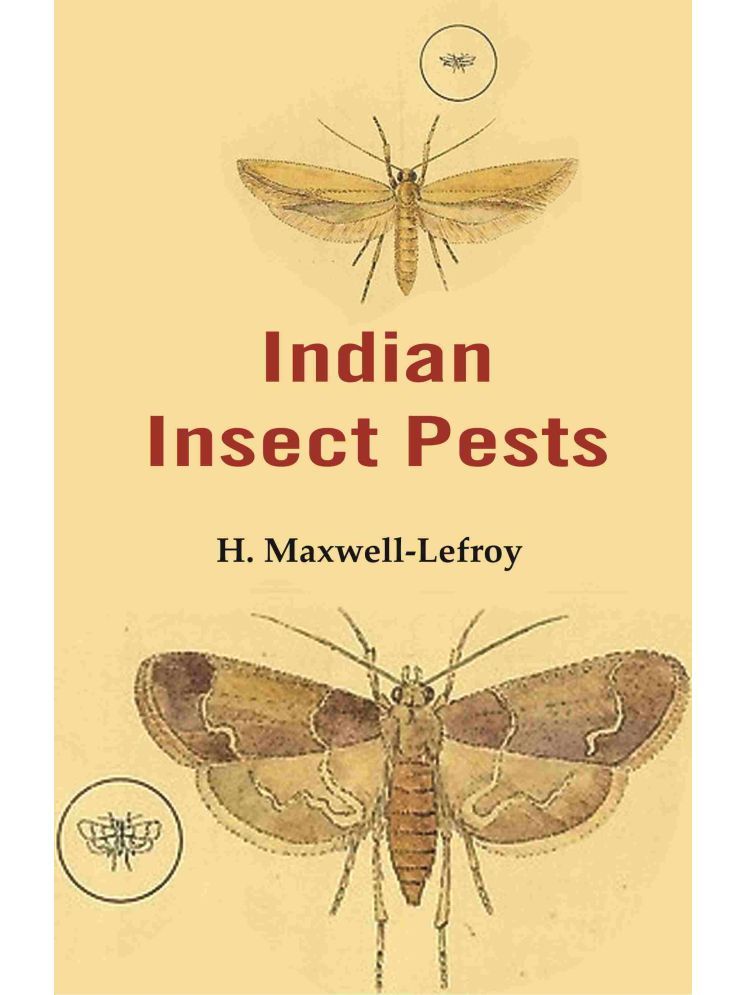     			Indian Insect Pests