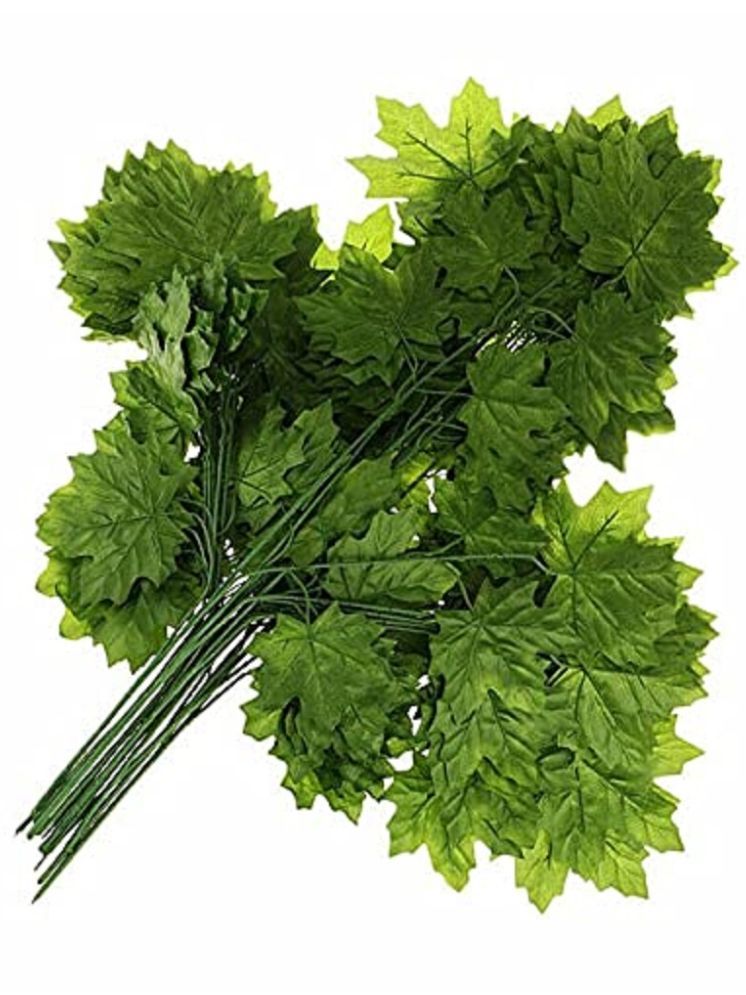     			Green plant indoor - Green Maple Artificial Plants Bunch ( Pack of 12 )