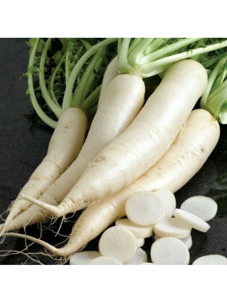     			Jignisha Seeds White Radish Vegetable ( 500 Seeds )