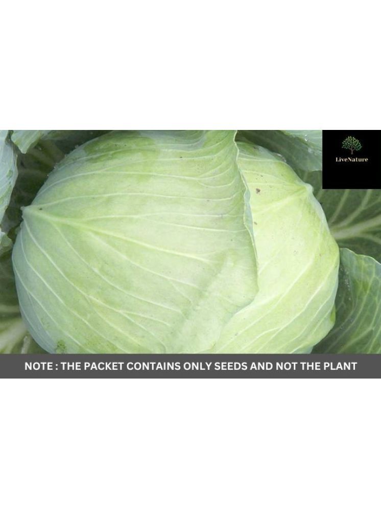     			LiveNature Cabbage Vegetable ( 100 Seeds )