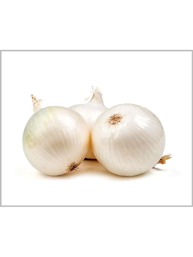     			LiveNature White Onion Vegetable ( 100 Seeds )