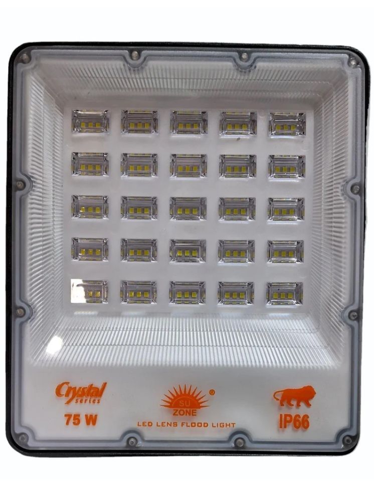     			DAJUBHAI Cool Day Light 75w Watts Flood Light ( Pack of 1 )