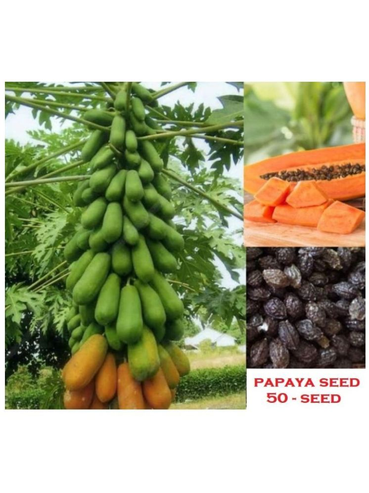     			Vedhahi Hybrid Papaya (Red Lady) Fruit ( 50 Seeds )