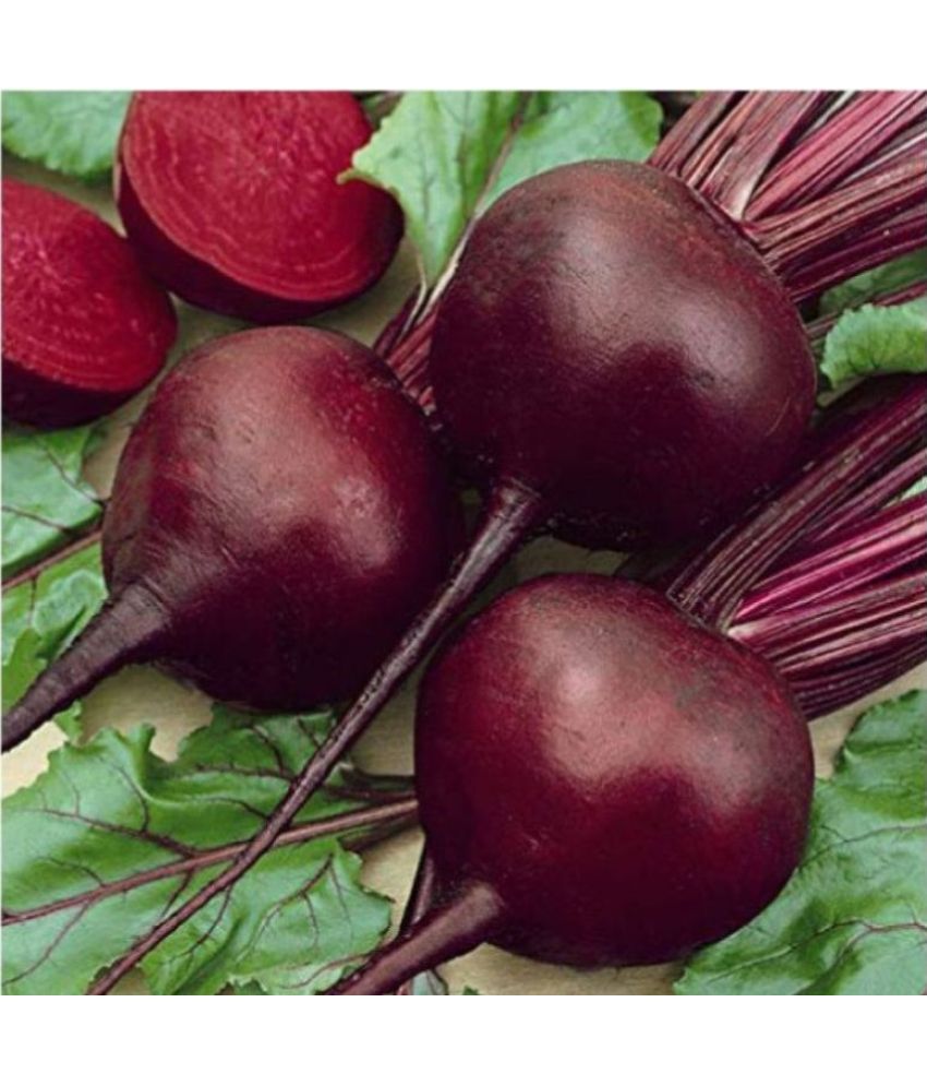     			Vedhahi Organic Beetroot Vegetable ( 50 Seeds )