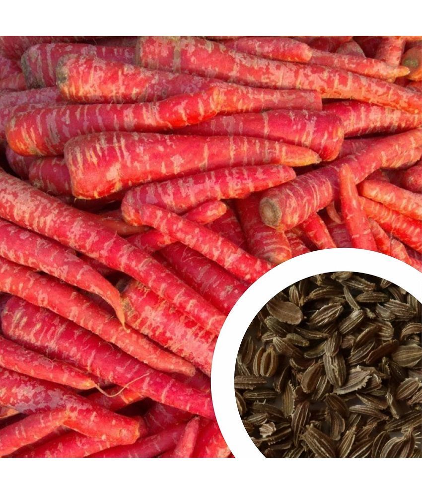     			Vedhahi Organic Red Carrot Vegetable ( 10 Seeds )