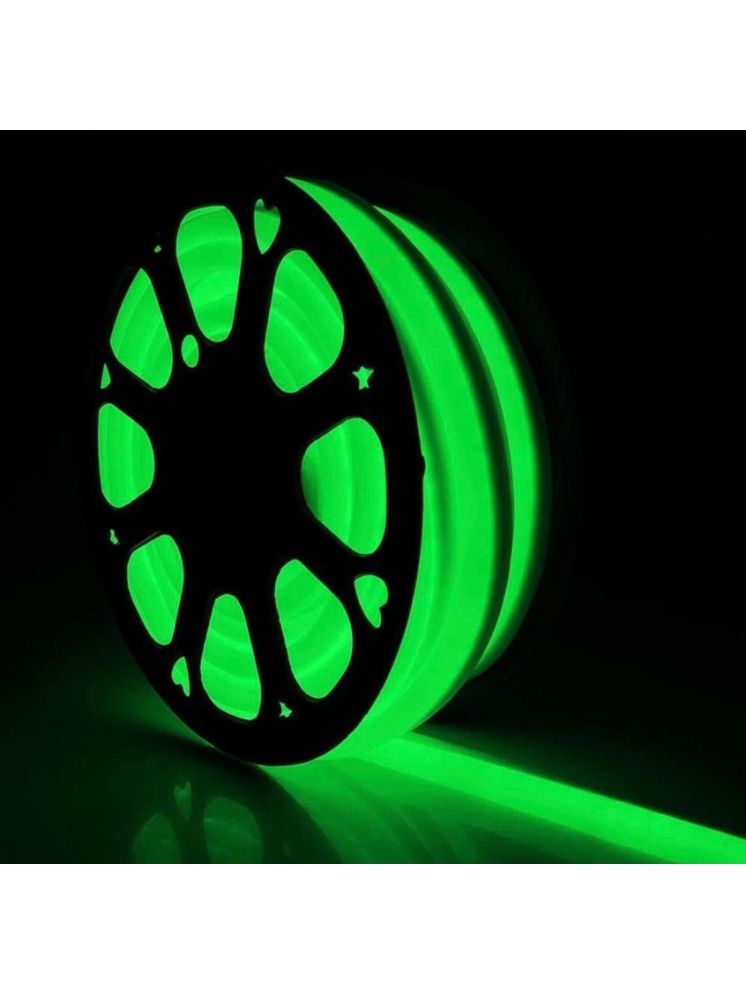     			ZESTRUM Green 5M Neon Light ( Pack of 1 )