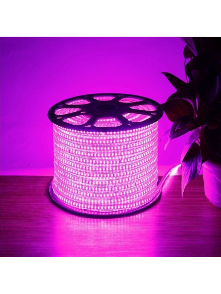     			ZESTRUM Pink 10 Mtr LED Strip ( Pack of 1 )