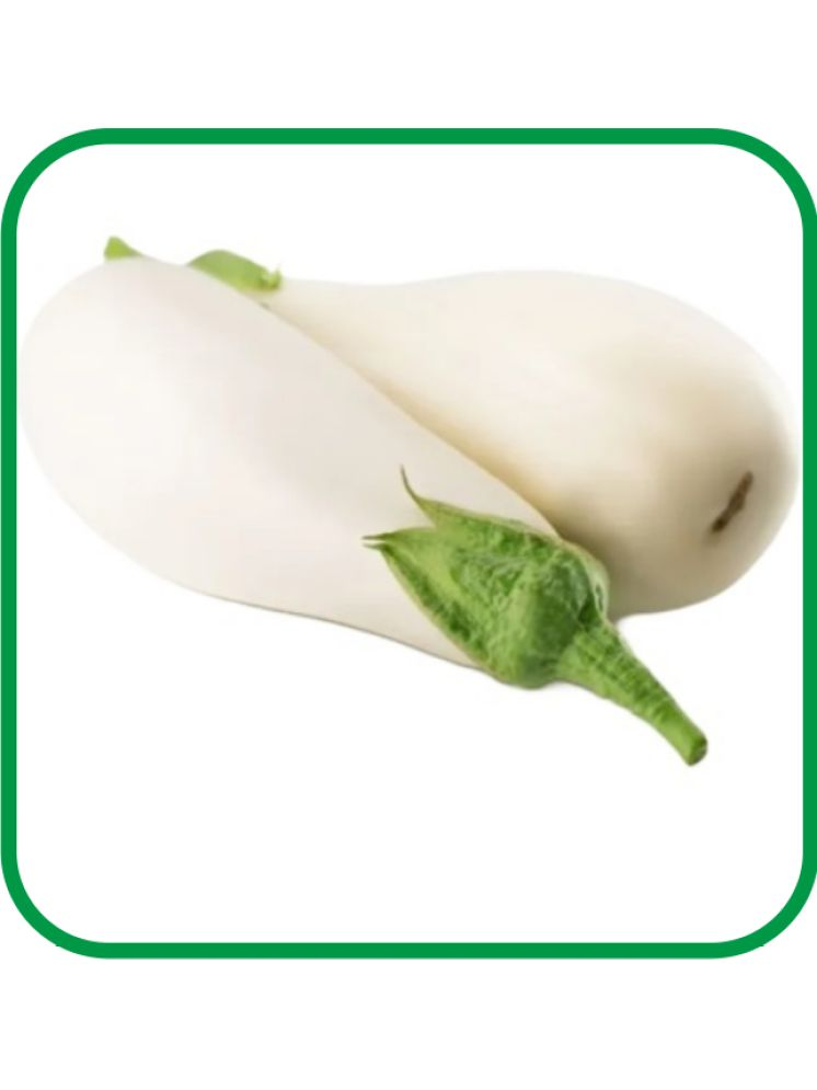     			Aero Seeds Brinjal White Long Pack of 50 Seeds