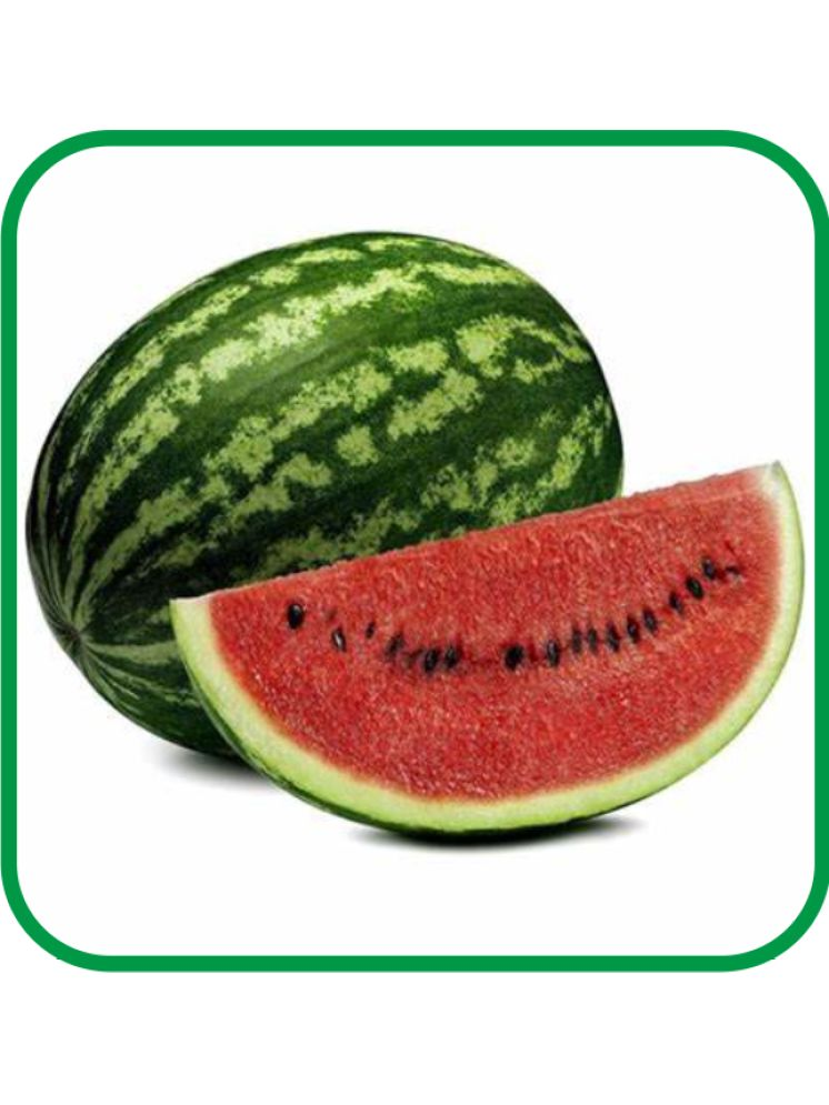     			Aero Seeds Watermelon Vegetable ( 30 Seeds )