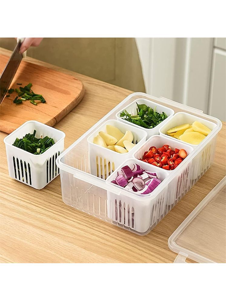     			Avsar Fridge  Plastic White Multi-Purpose Container ( Set of 1 )