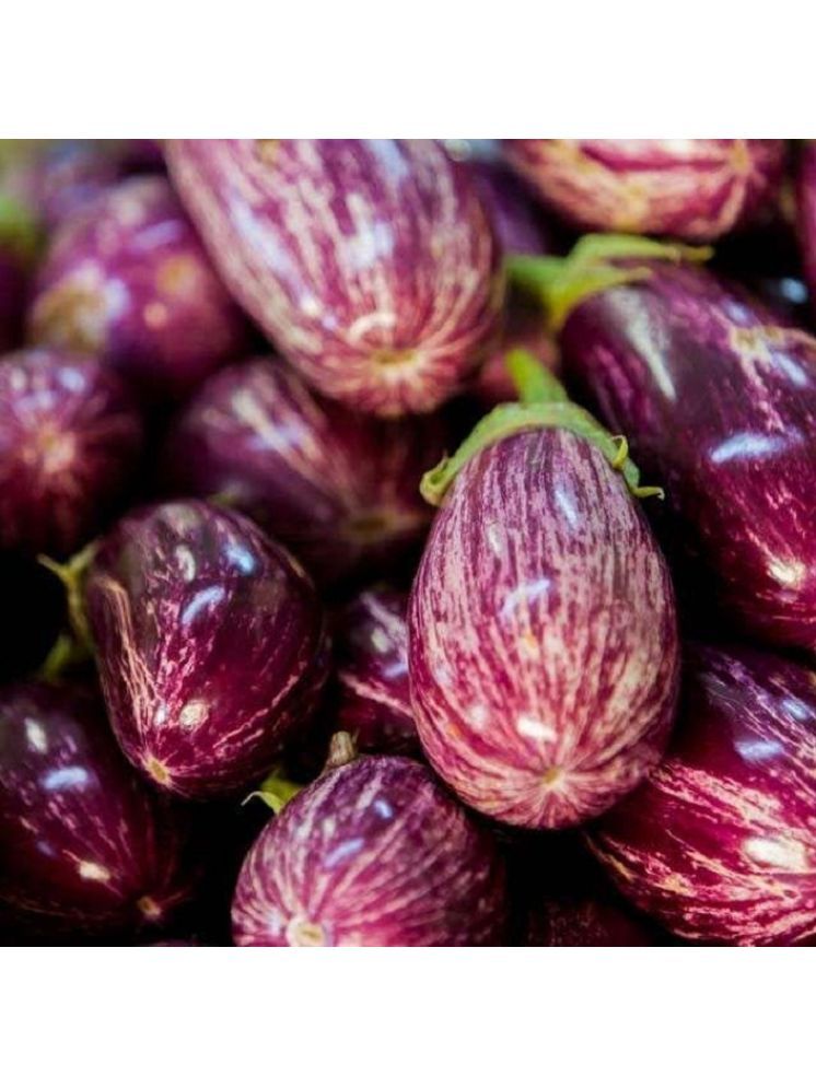     			Jignisha Seeds Organic Kateri Brinjal Vegetable ( 50 Seeds )