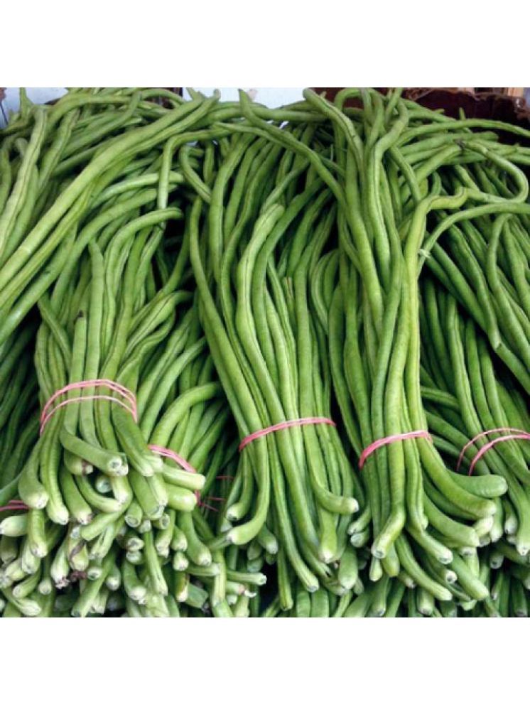     			Jignisha Seeds Barbati Vegetable ( 50 Seeds )