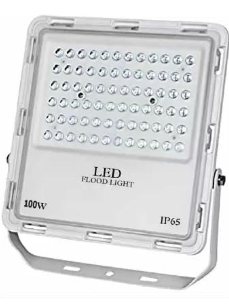     			ZESTRUM Cool Day Light 100 Watts Flood Light ( Pack of 1 )