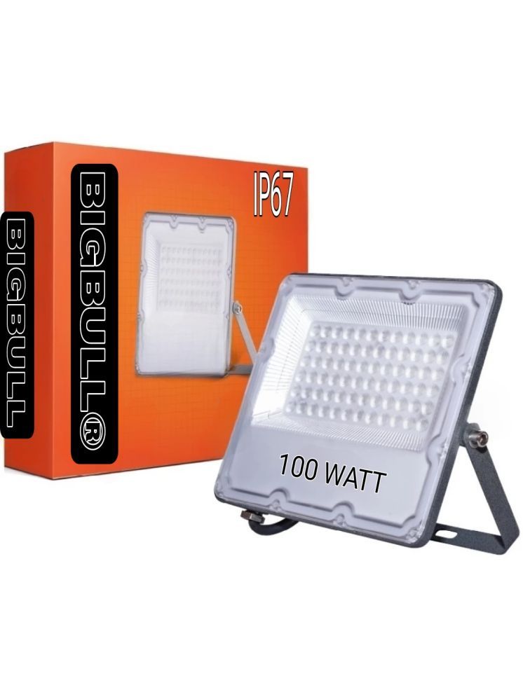     			oyata Cool Day Light 100 Watts Flood Light ( Pack of 1 )