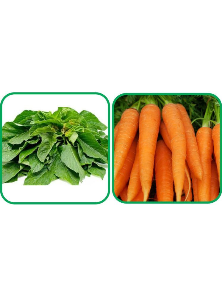     			Aero Seeds English Carrot ( 100 Seeds) And Green Amaranth ( 200 Seeds) Vegetable Seeds Pack