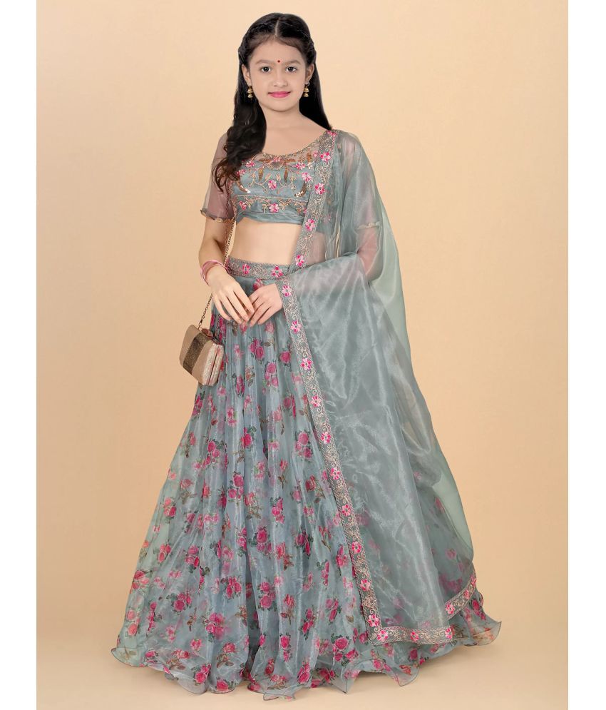     			piludi Organza Lehenga Choli Set For Girls ( Pack of 1 , Grey )