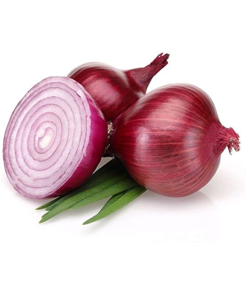     			Vedhahi Organic Red Onion Vegetable ( 30 Seeds )