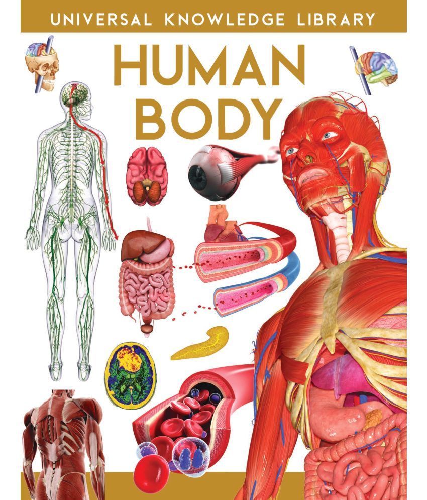     			Universal Knowledge Library: Human Body (English)