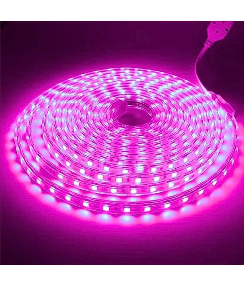     			ZESTRUM Pink 15M LED Rope Light ( Pack of 1 )