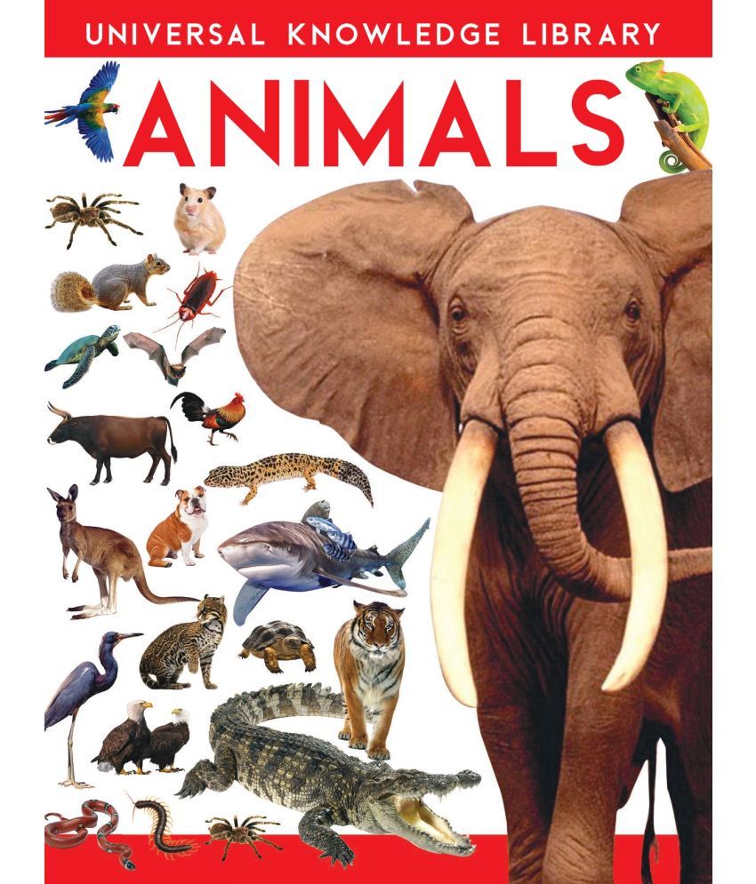     			Universal Knowledge Library: Animals (English)