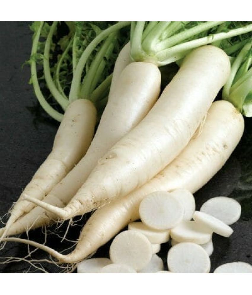     			Jignisha Seeds White Radish Vegetable ( 500 Seeds )