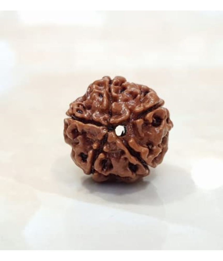     			YASH GEMS Rudraksha Bead ( Pack of 1 )