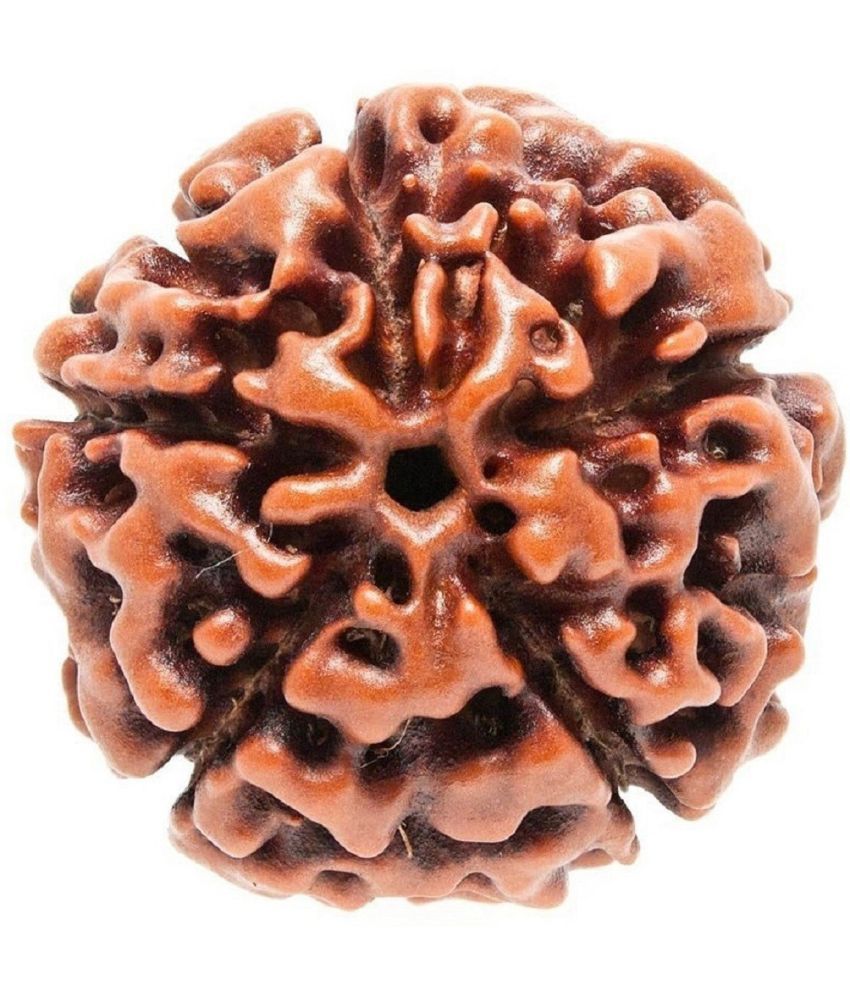     			YASH GEMS Rudraksha Bead ( Pack of 1 )