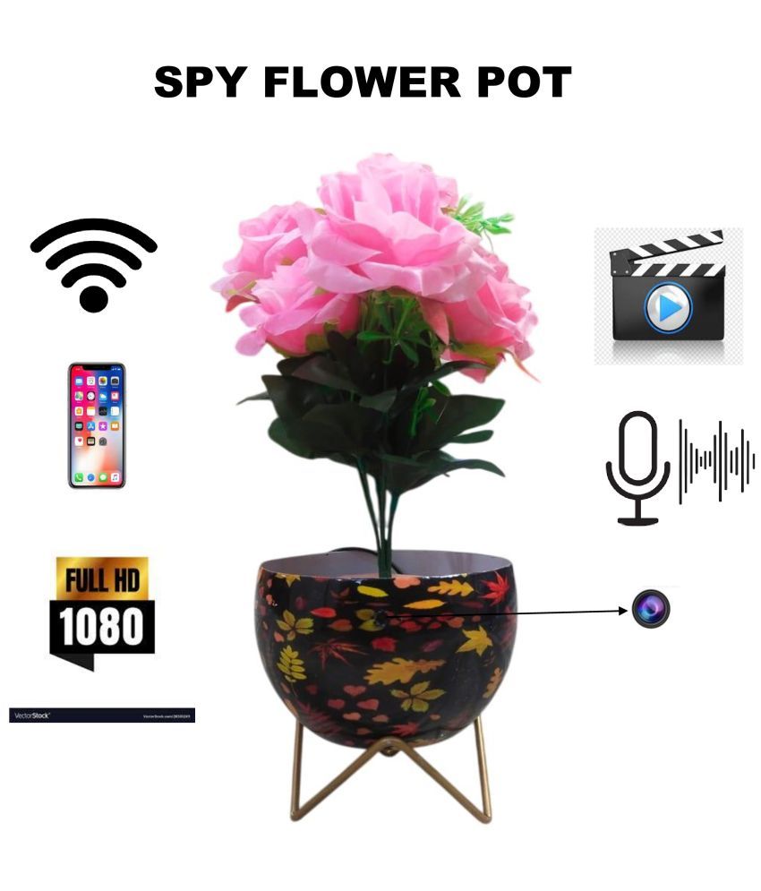     			Vizio VIZIO SPY FLOWER POT Wi-Fi Others 1080 Camera