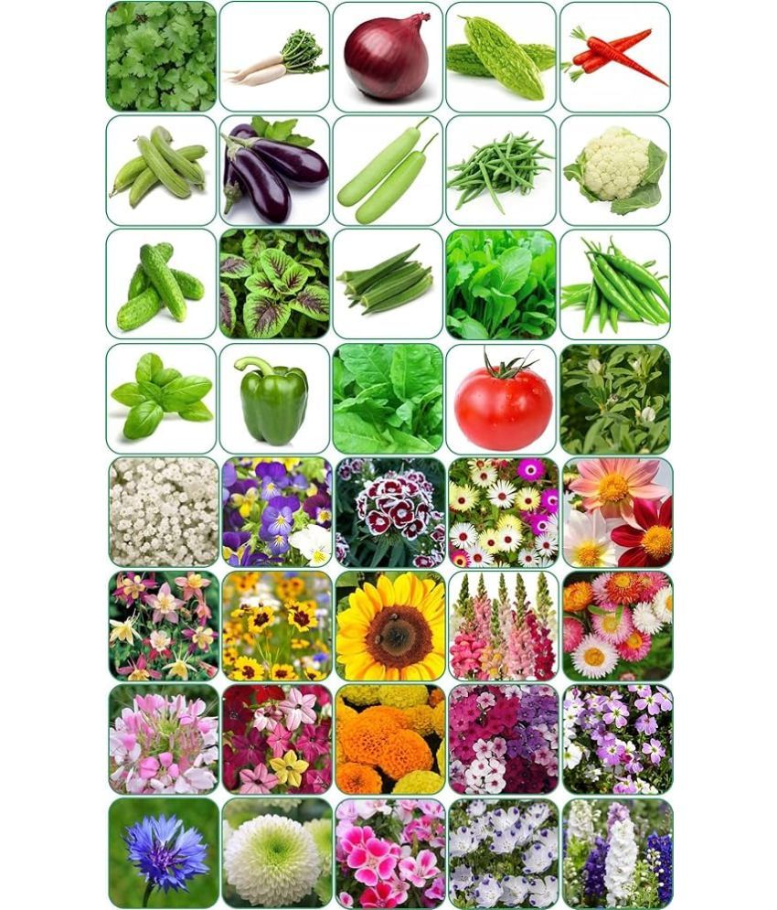     			zello. Mixed Flower 40 Varieties ( 1000 Seeds )