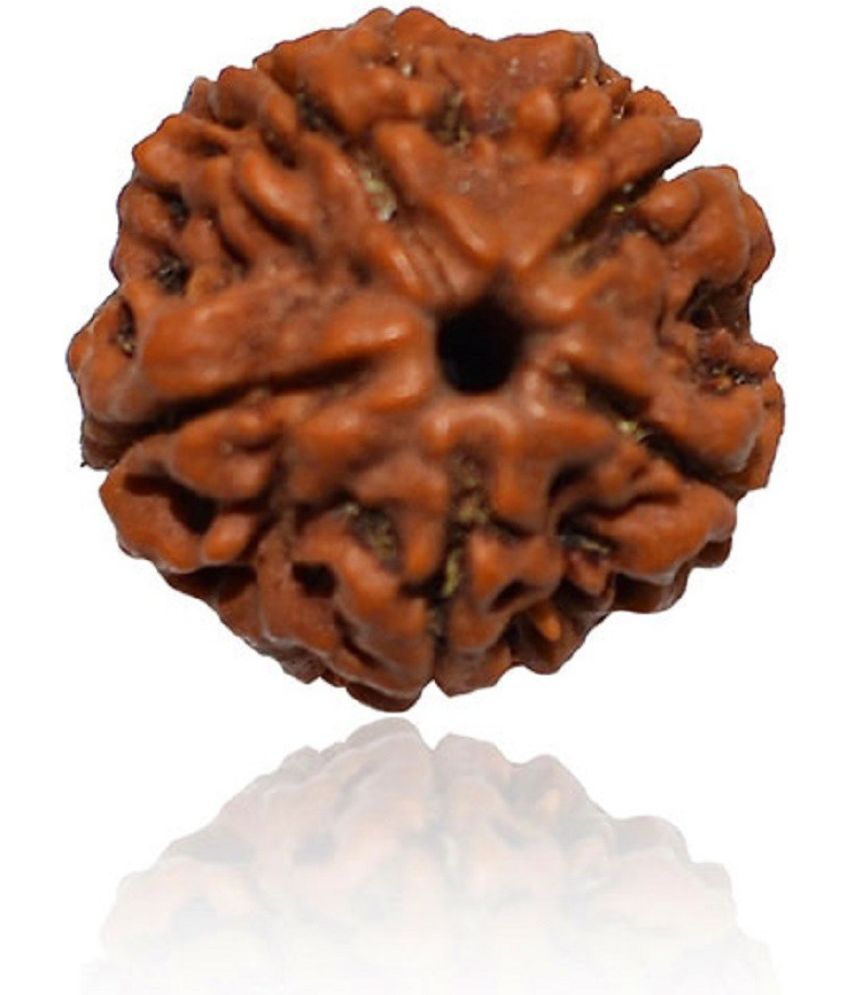     			YASH GEMS Rudraksha Pendant ( Pack of 1 )