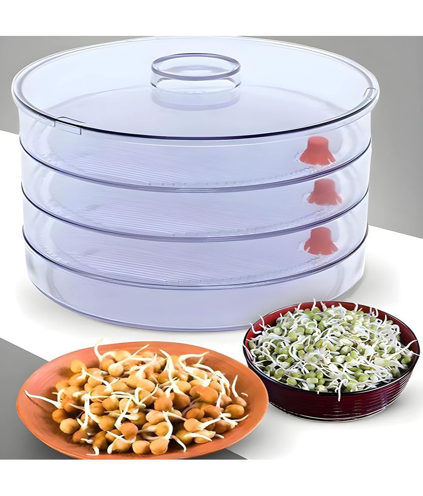     			Stysol Plastic 4 Compartment Sprout Maker