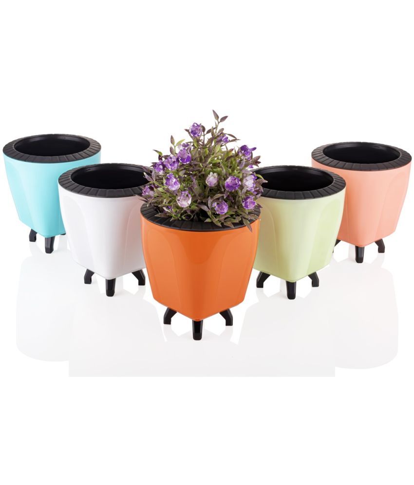     			Stysol Multicolor Plastic Flower Pot ( Pack of 5 )