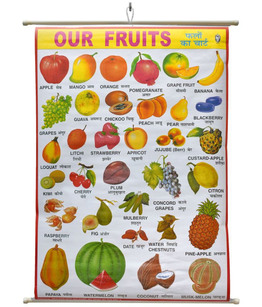     			Fruits Early Learning Laminated Wall Chart: For Preschool, Kindergarten, Nursery and Homeschooling (Size 100 x 75 cm)