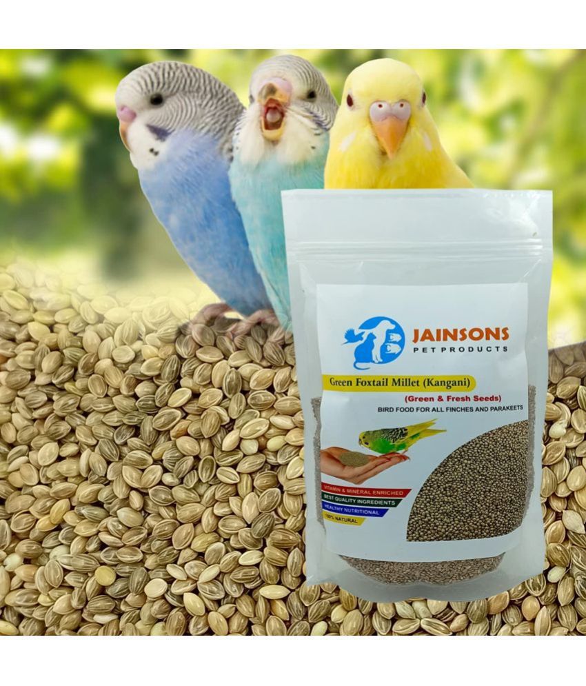 Foxtail Millet (Kangani) Small Bird Food Useful for Indigo, Quail, Pheasants, Love Birds, Finches (Golden Foxtail Millet (Kangani) 5 kg)