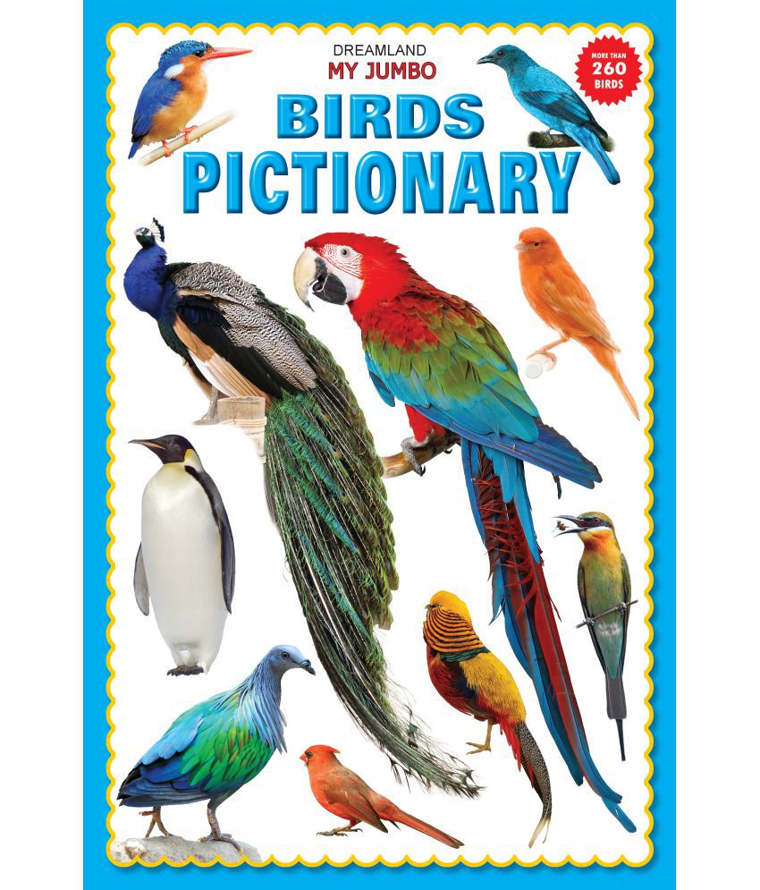     			My Jumbo Birds Pictionary  - Picture Book