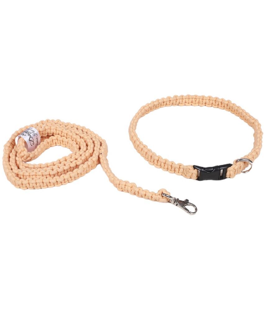     			dog neck collar and leash